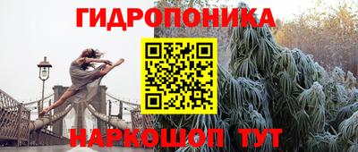 дмт Нальчик