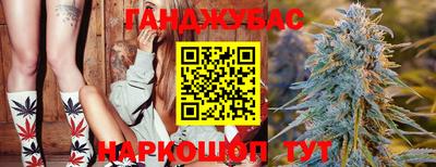 дмт Нальчик