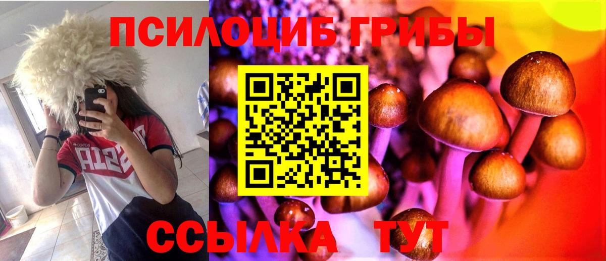 Псилоцибиновые грибы MAGIC MUSHROOMS Сосновоборск